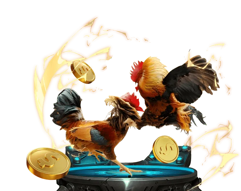 Vị thế và uy tín của okkinh